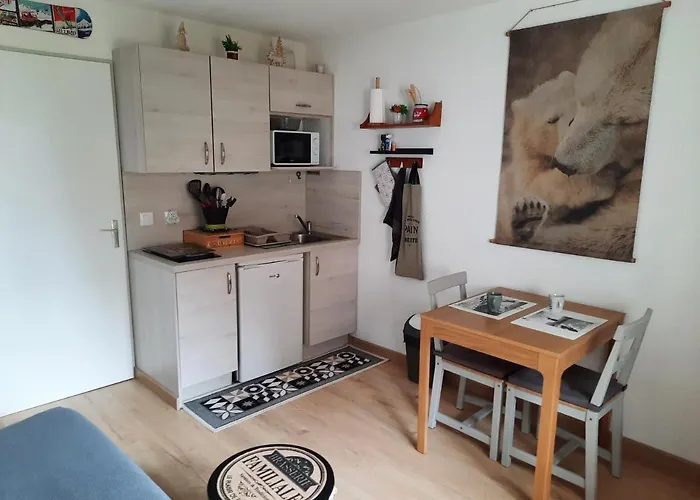 Aparthotel L'etoile Des Ours *